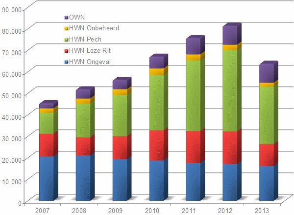 IM Reports in 2013